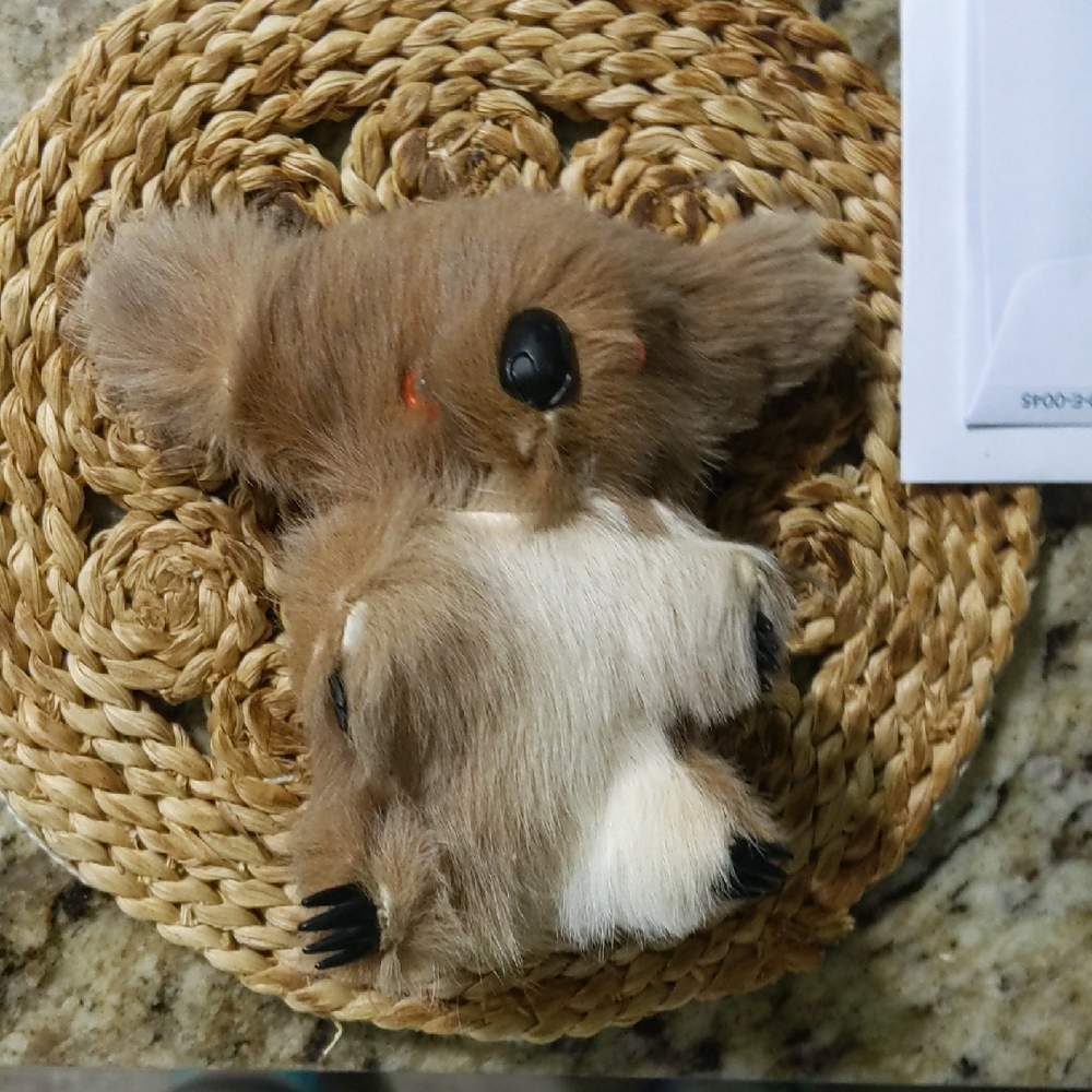 Brown and White Plush Koala Toy